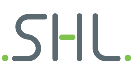 Connection Logo