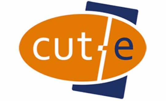 Connection Logo