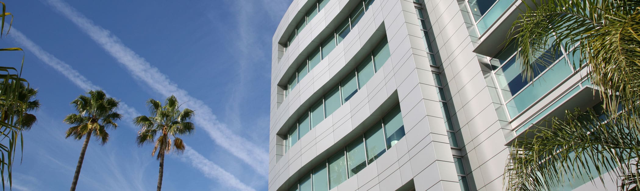 The California State University - PageUp