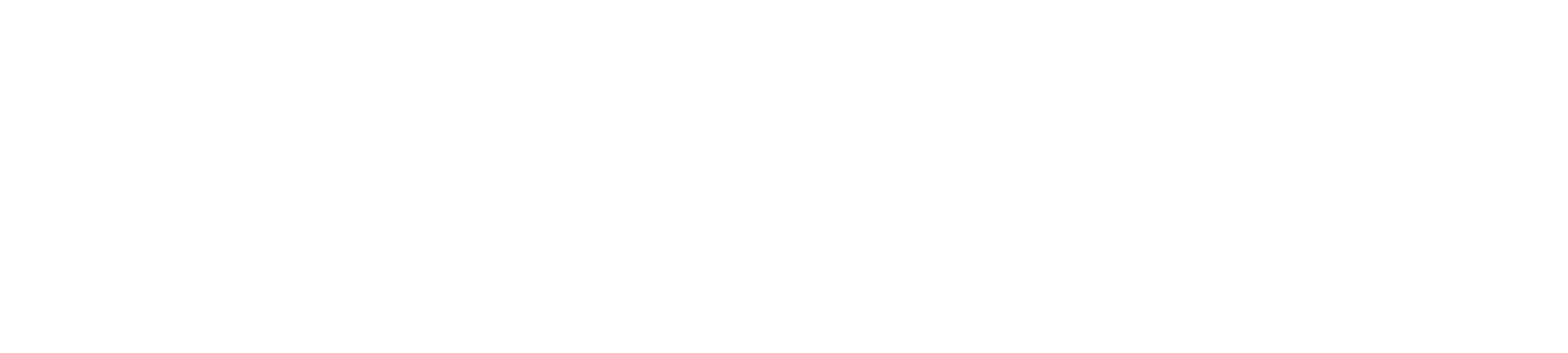 PageUp_trademark_Logo_white